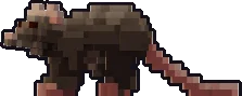 Frente de la papermini de rata gigante